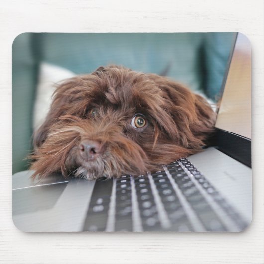 Hund, Haustier, Behältnis Mousepad (Vorne)