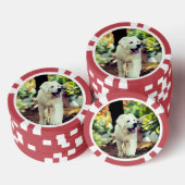 Hund, Haustier, Kanine Pokerchips (Stapel)