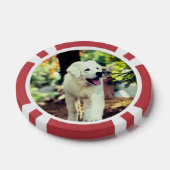 Hund, Haustier, Kanine Pokerchips (Einzeln)