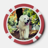 Hund, Haustier, Kanine Pokerchips (Rückseite)