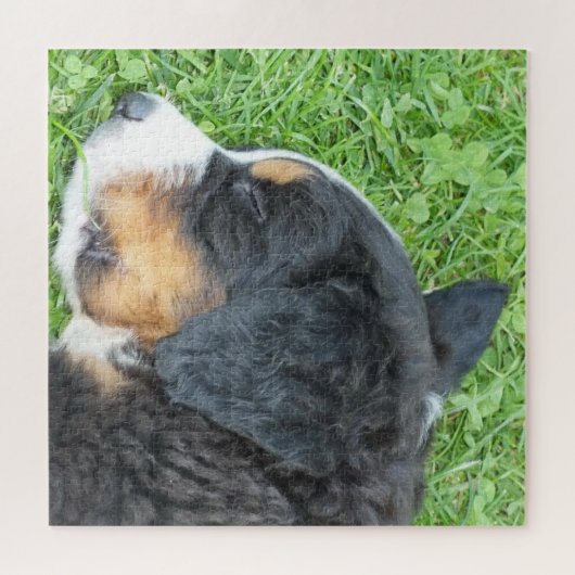 Hund, Haustier, niedlich, Tier, Rasse, Rätsel, Wel Puzzle (Horizontal)