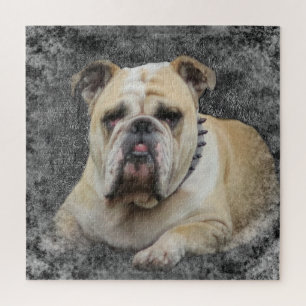 Hund, Haustier, niedlich, Tier, Rasse, Rätsel, Wel Puzzle