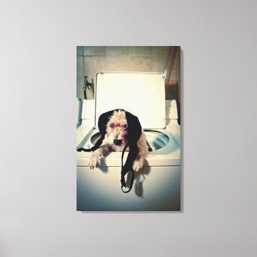 Hund hilft beim Waschen Leinwanddruck (Vorderseite)