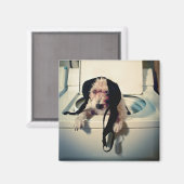 Hund hilft beim Waschen Magnet (Vorderseite/Rückseite)