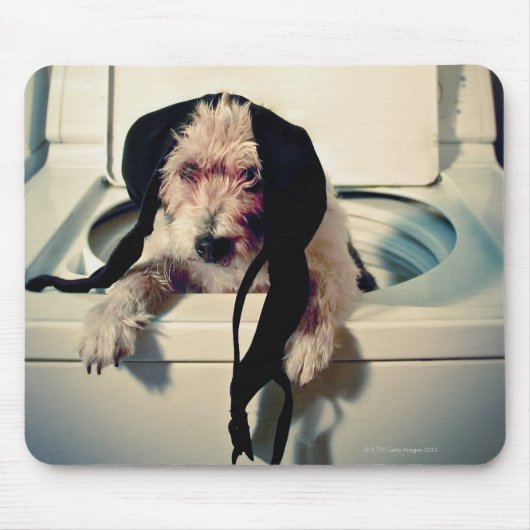 Hund hilft beim Waschen Mousepad (Vorne)
