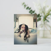 Hund hilft beim Waschen Postkarte (Stehend Vorderseite)