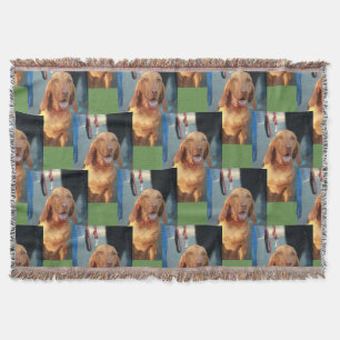 Hund-Hund-Hund-Hund-Hundeportrait Decke