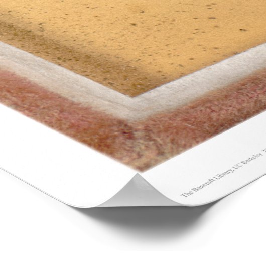 Hund im Besitz von Sheldon Nichols (39986) Poster (Ecke)