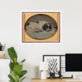 Hund im Besitz von Sheldon Nichols (39986) Poster (Heimbüro)