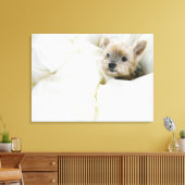 Hund im Bett Leinwanddruck (Insitu (Wohnzimmer))