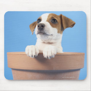 Hund im Flowerpot Mousepad
