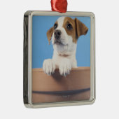 Hund im Flowerpot Silbernes Ornament (Rechts)