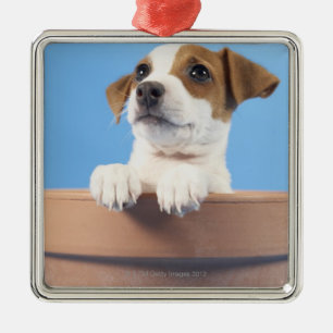 Hund im Flowerpot Silbernes Ornament