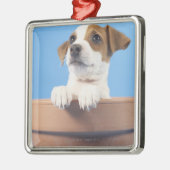 Hund im Flowerpot Silbernes Ornament (Links)
