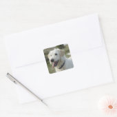 Hund im Heideland Quadratischer Aufkleber (Umschlag)