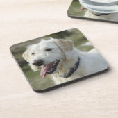 Hund im Heideland Untersetzer (Linke Seite)