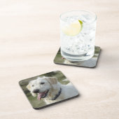 Hund im Heideland Untersetzer (Rechte Seite)