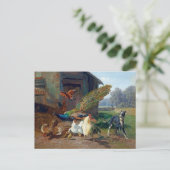 Hund im Hühnercoop Postkarte (Stehend Vorderseite)