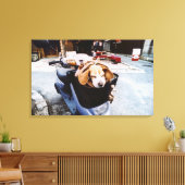 Hund im Korb des Motorroller Leinwanddruck (Insitu (Wohnzimmer))