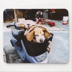 Hund im Korb des Motorroller Mousepad