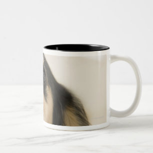 Hund im Korb Zweifarbige Tasse