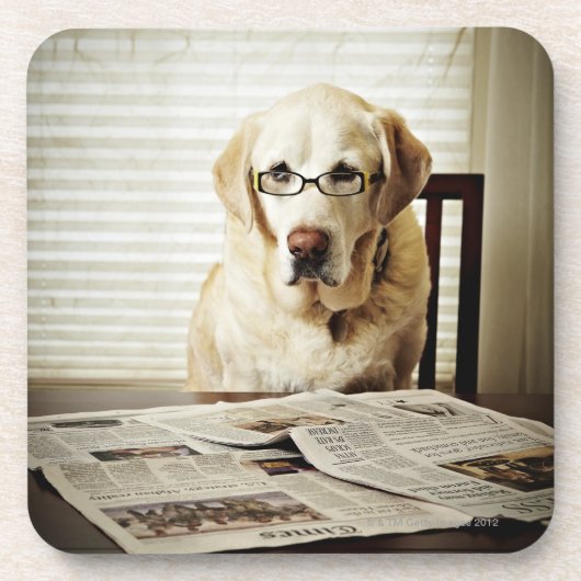 Hund im Morgenprogramm Untersetzer (Vorderseite)