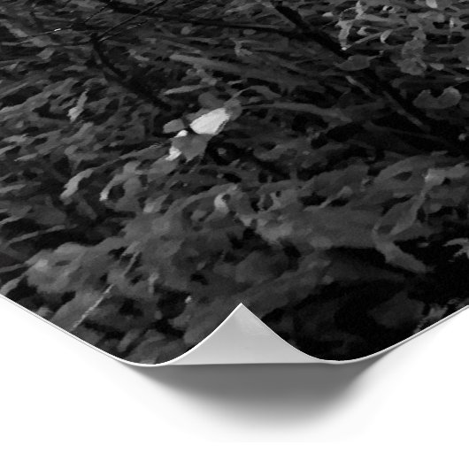 Hund im Morgensonnenlicht Poster (Ecke)