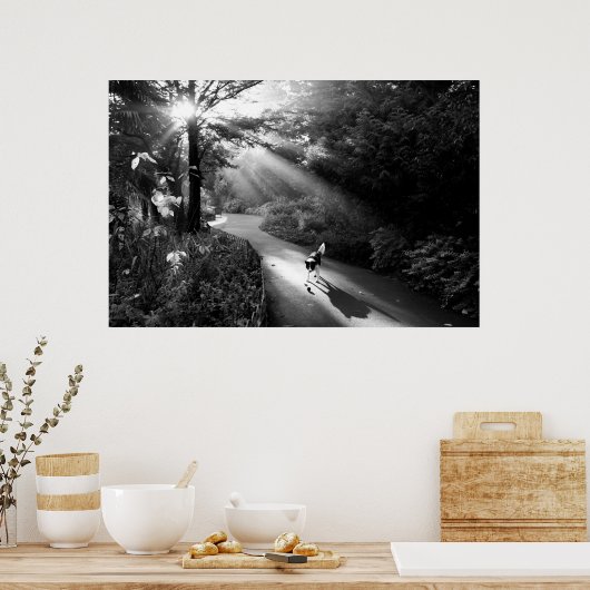 Hund im Morgensonnenlicht Poster (Küche)