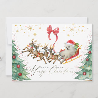 Hund im Schlitten-Weihnachtskarte (flach) Dankeskarte