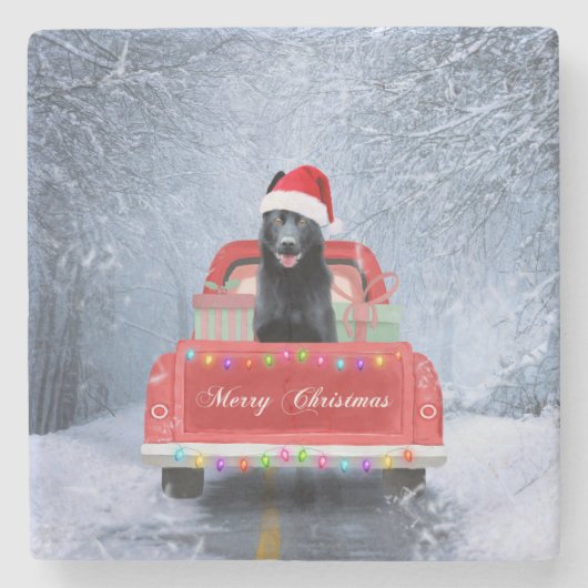 Hund im Schnee, der in Weihnachten sitzt Steinuntersetzer (Vorderseite)