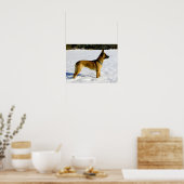 Hund im Schnee Poster (Küche)