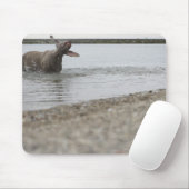 Hund im See, der vor Wasser schüttelt Mousepad (Mit Mouse)