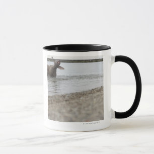 Hund im See, der weg vom Wasser rüttelt Tasse