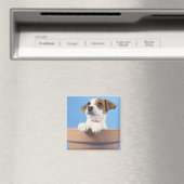 Hund in Blumentopf Magnet (In Situ (Geschirrspüler))