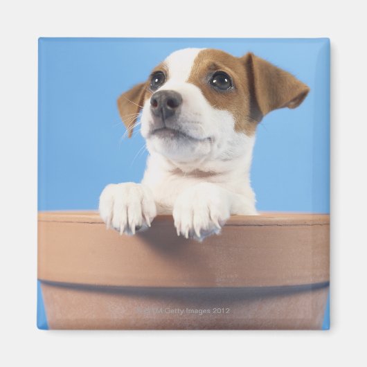 Hund in Blumentopf Magnet (Vorne)