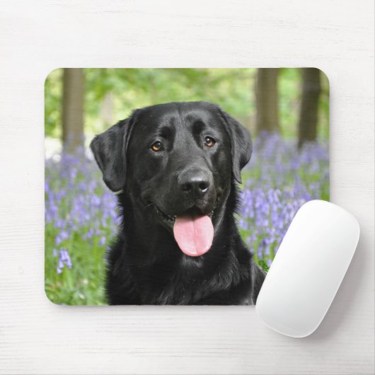 Hund in den Bluebells Mousepad (Mit Mouse)