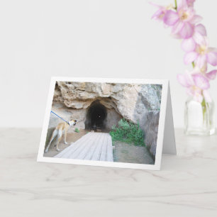 Hund in der Höhle Karte