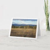 Hund in der Landschaft Karte (Vorderseite)