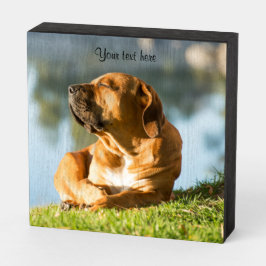 Hund in der Morgensonnenklammer Holzkisten Schild