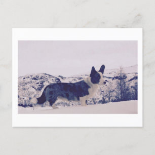 Hund in der Schneeschuhwanderkarte Feiertagspostkarte