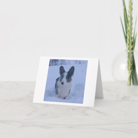 Hund in der snownFolded Holiday Card Feiertagskarte (Vorderseite)