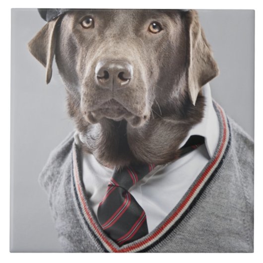 Hund in der Strickjacke und in der Kappe Fliese (Vorderseite)