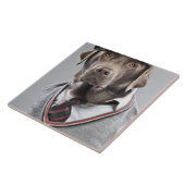 Hund in der Strickjacke und in der Kappe Fliese (Seite)