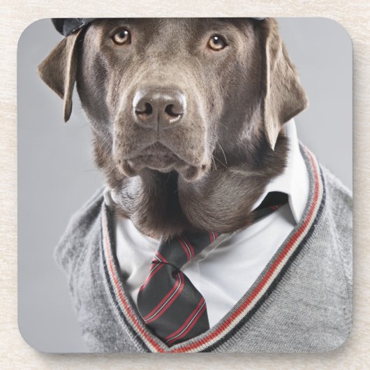 Hund in der Strickjacke und in der Kappe Getränkeuntersetzer (Vorderseite)