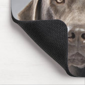 Hund in der Strickjacke und in der Kappe Mousepad (Ecke)