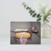 Hund in einem Bun Postkarte (Stehend Vorderseite)