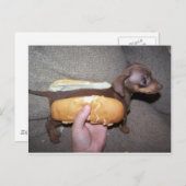 Hund in einem Bun Postkarte (Vorne/Hinten)