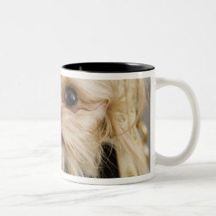 Hund in einem Geldbeutel Zweifarbige Tasse