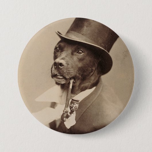Hund in einem Hut Button (Vorderseite)