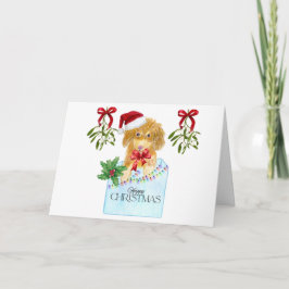 Hund in einer blauen Box Weihnachtskarte Karte